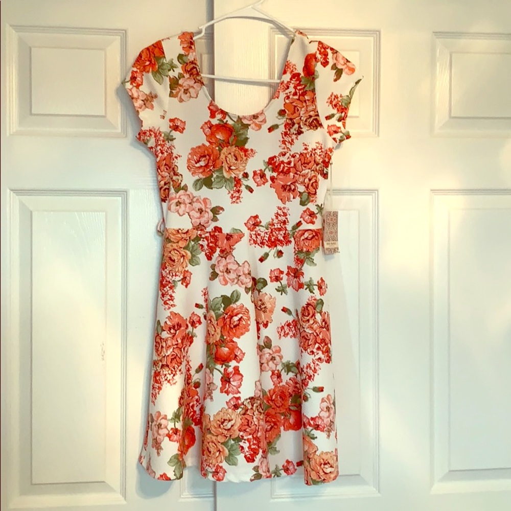 Floral Skater Dress